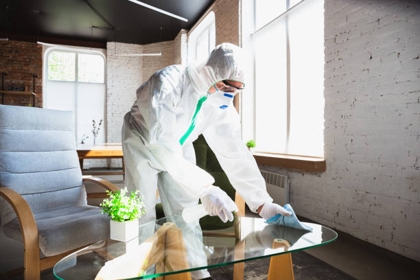 Professional Mold Removal in Clinton, PA