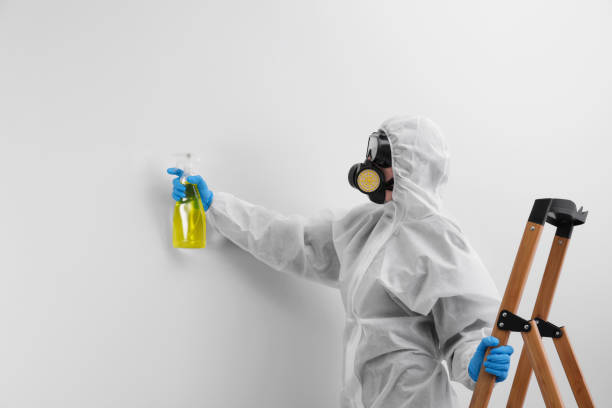 Why You Should Choose Our Mold Remediation Services in Clinton, PA